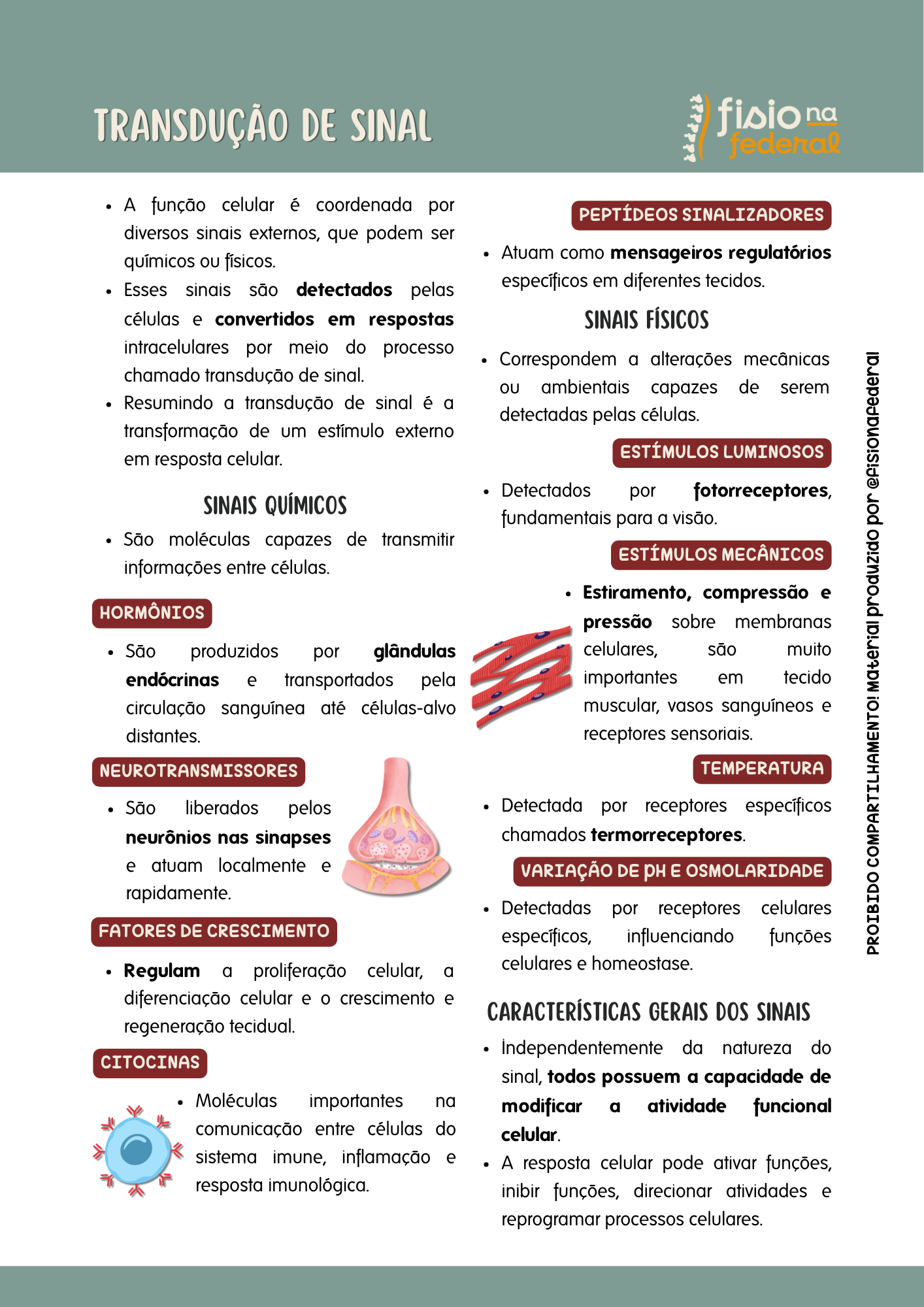 TRANSDUÇÃO DE SINAL
